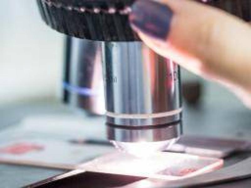 Tümörler: Benign, premalign ve malign