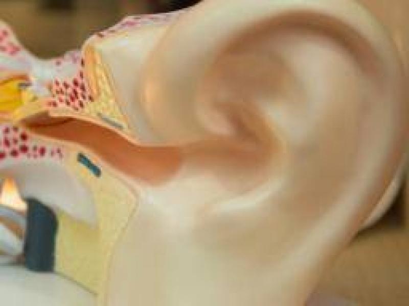 Kulak enfeksiyonları belirtileri, türleri ve nedenleri